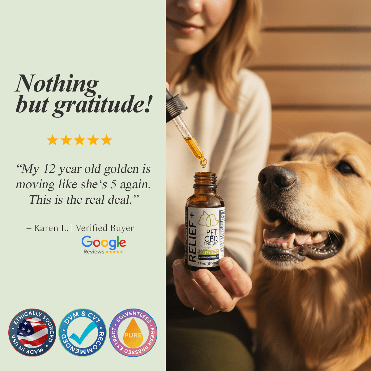 Woman administering VetsGrade Relief Plus solventless pet CBD tincture dropper to happy senior Golden Retriever with five star Google verified buyer review from Karen L stating my 12 year old golden is moving like she is 5 again this is the real deal with ethically sourced made in USA DVM CVT recommended and solventless fresh pressed extract trust badges.