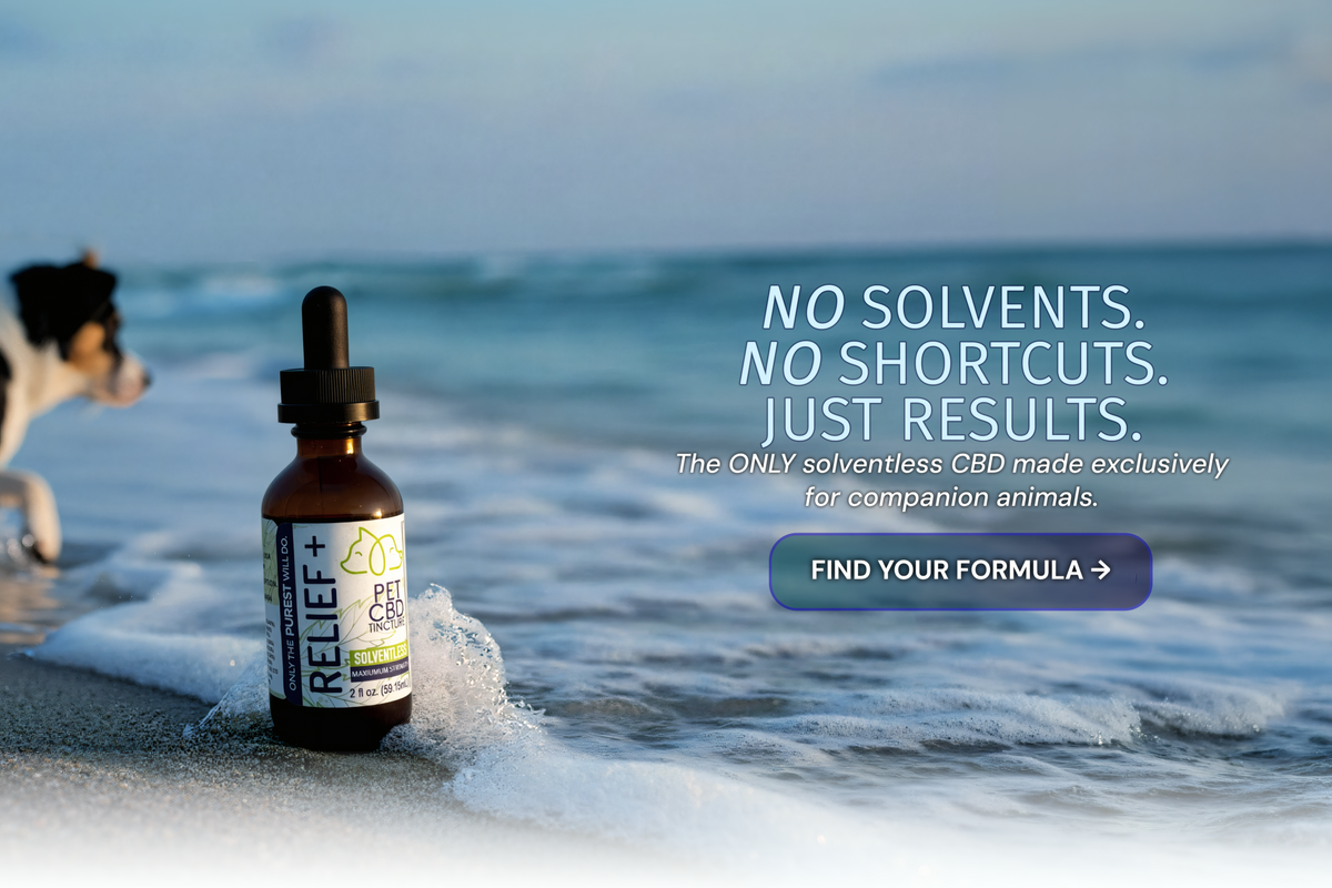 Solventless CBD oil for dogs — VetsGrade pure full-spectrum hemp pet wellness

